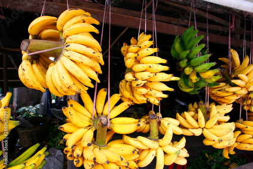 Fruit. Banana - Chumphon photo