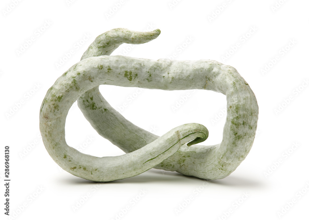 Obraz premium snake gourd on white background