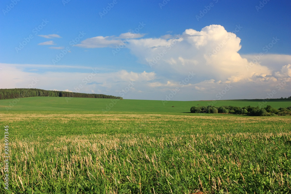 White clouds in the blue sky over a green field White clouds in the blue sky over a green field