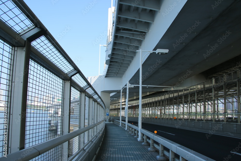 Obraz premium レインボーブリッジの下の風景