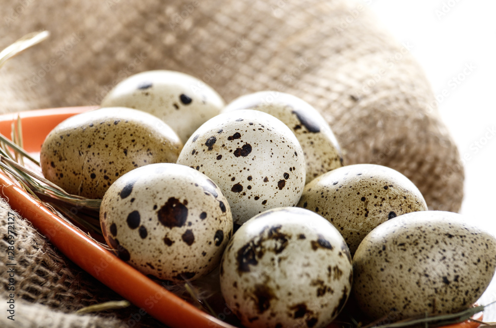 Obraz premium Fresh organic quail eggs in orange clay plate on wooden rustic kitchen table. Space for text