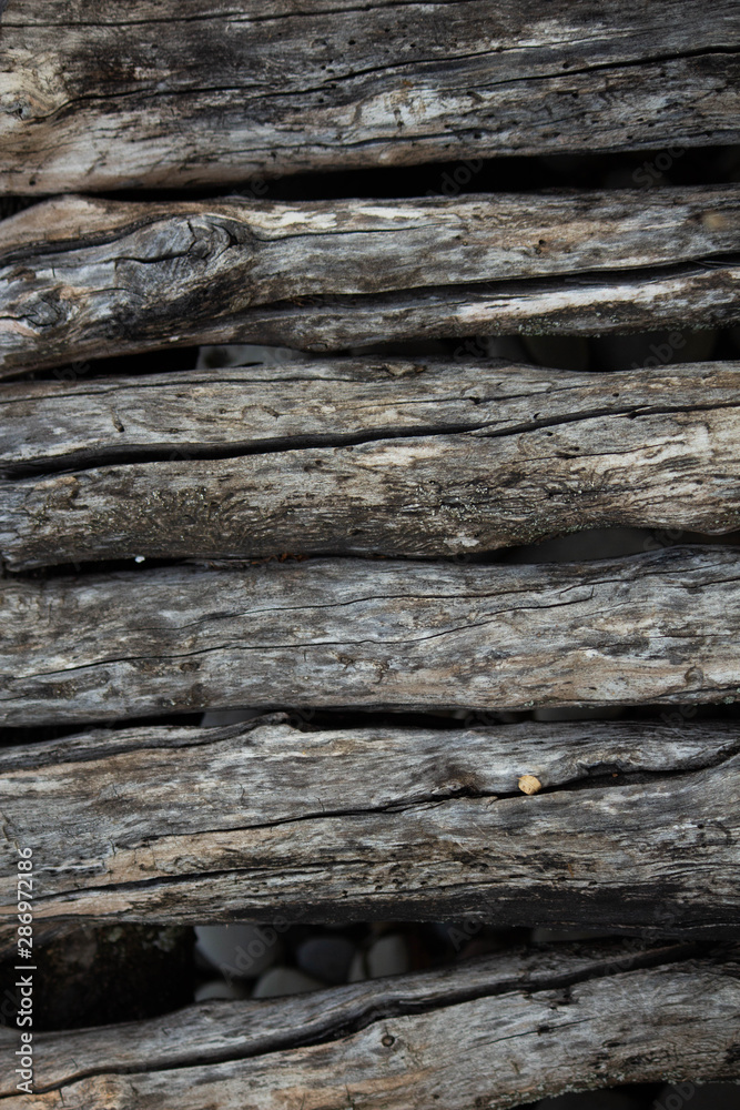 wood sticks, gray color, texture wood sticks, gray color, texture