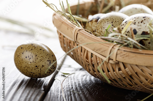 Fresh organic quail eggs in small wicker basket on rustic kitchen table. Space for text