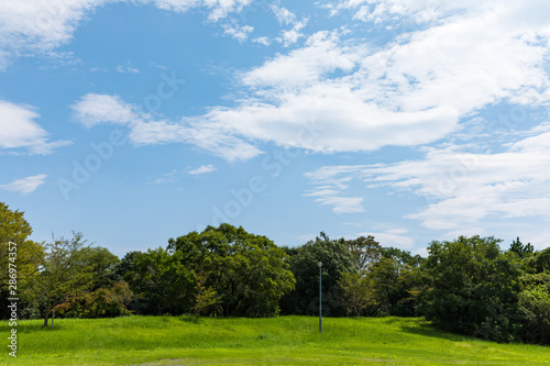 (埼玉県-風景)青空の下の自然公園風景３ © moarave