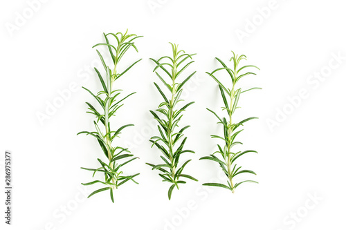 Fototapeta Naklejka Na Ścianę i Meble -  Green branchs and leaves of rosemary isolated on a white background. Мedicinal herbs. Flat lay. Top view