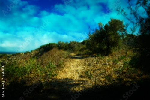 A Road in the Countryside © Sandro