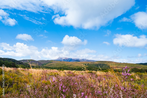 Beautiful landscape of the mountain  meadows and blue sky.