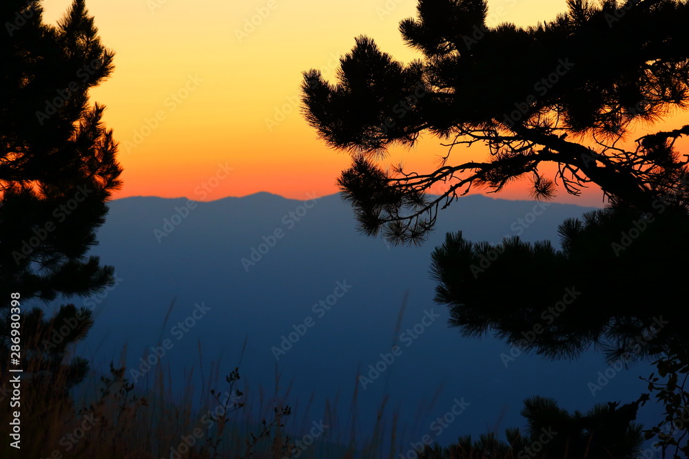 Pine branch on the background of bare mountains at sunrise