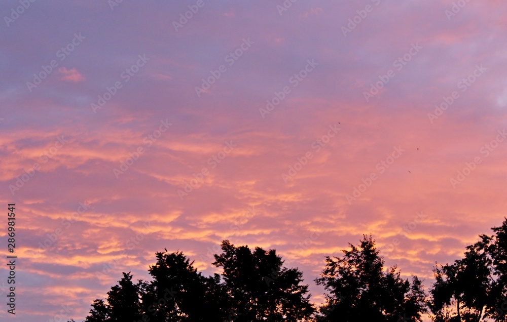 Fototapeta premium Beautiful clouds pink sunset summer evening beauty