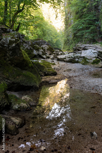 Pf  tzenspiegelung im Naturschutzgebiet