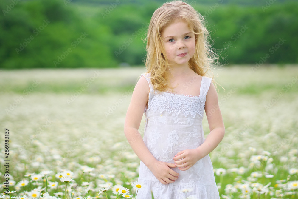 Little girl in camomile meadow.