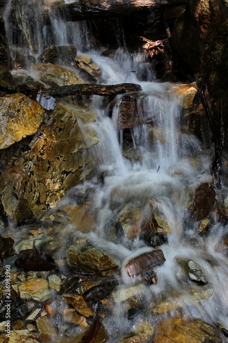 beautiful mountain river with a rapid flow  close-up 