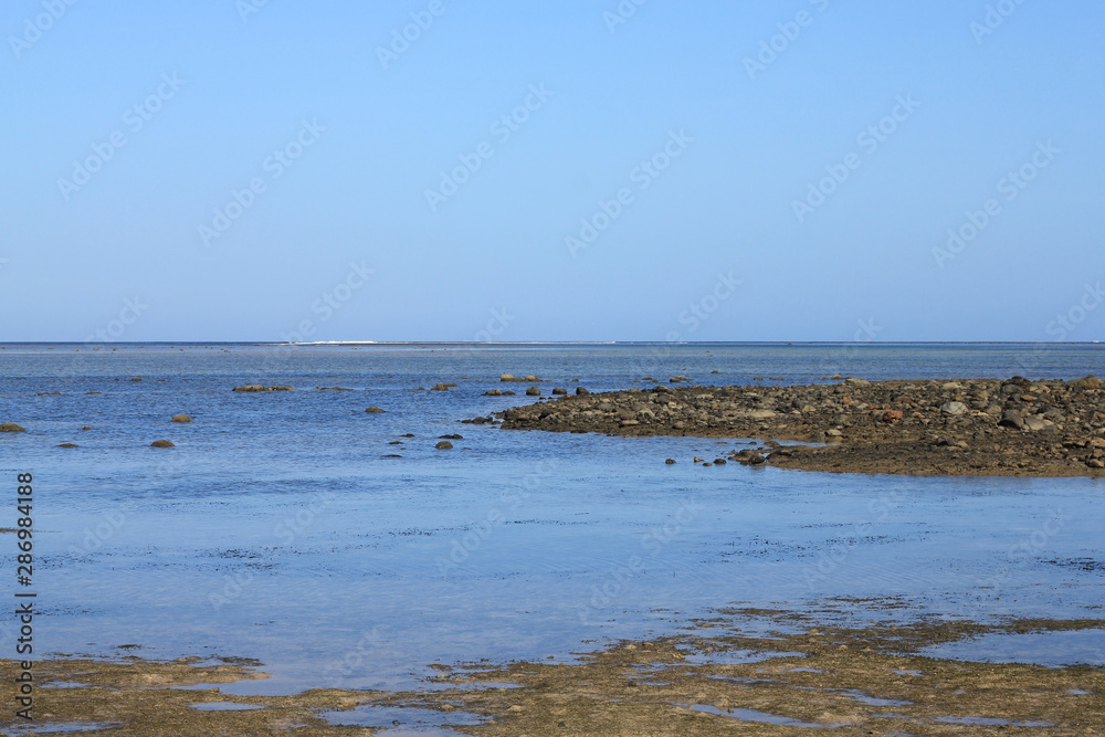 Beautiful sunny day at Coral Coast with crystal clear and unpolluted seawater, Fiji Beautiful sunny day at Coral Coast with crystal clear and unpolluted seawater, Fiji