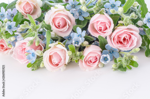 淡いピンクのバラと水色のブルースター Stock Photo Adobe Stock 淡いピンクのバラと水色のブルースター Stock Photo Adobe Stock