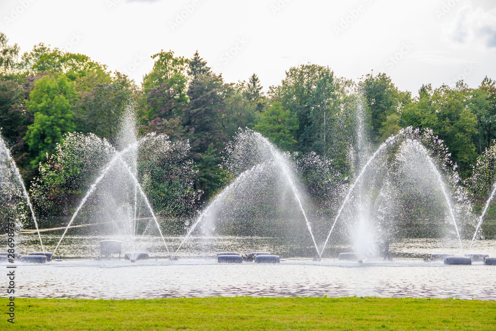 Fototapeta premium Fountain on the water. Water show. Fountain on the lake in the park.