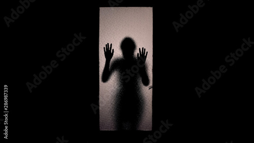 Photos Shadow of scared woman knocking at glass door, escape from captivity, violence