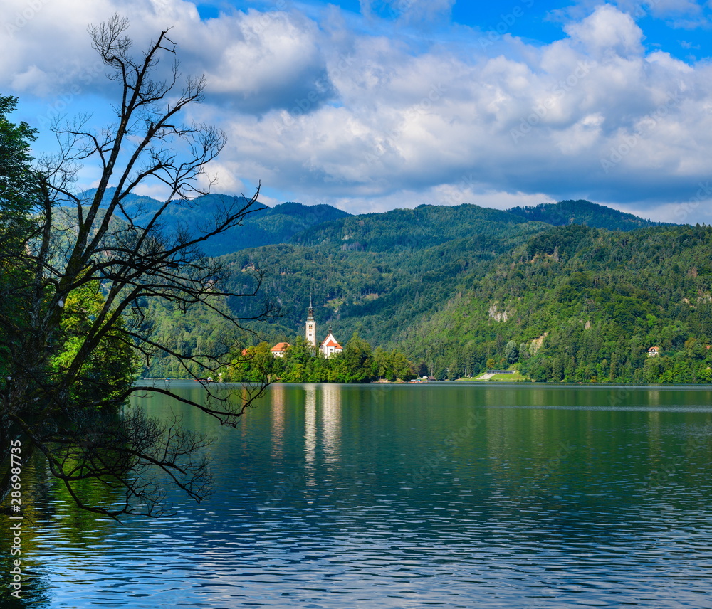 Beautiful view of Bled Lake in the foreground a dried tree.