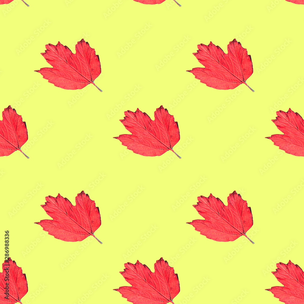 Seamless pattern of many orange fallen leaves. Collage art. Autumn concept Seamless pattern of many orange fallen leaves. Collage art. Autumn concept