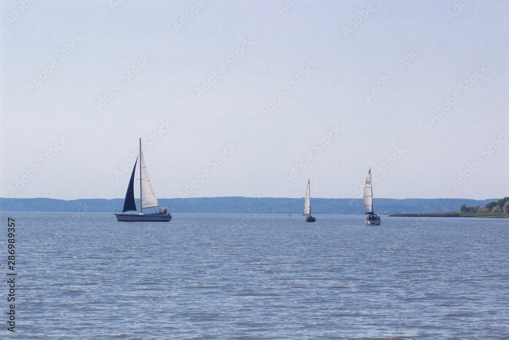 Fototapeta premium Sailing ship yachts with white sails in a row