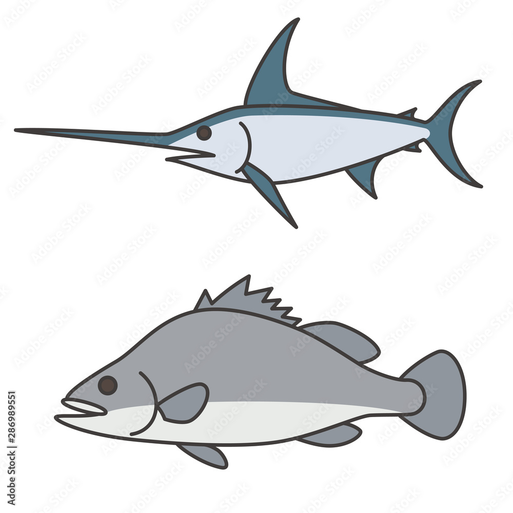 Fototapeta premium カジキとナイルパーチ