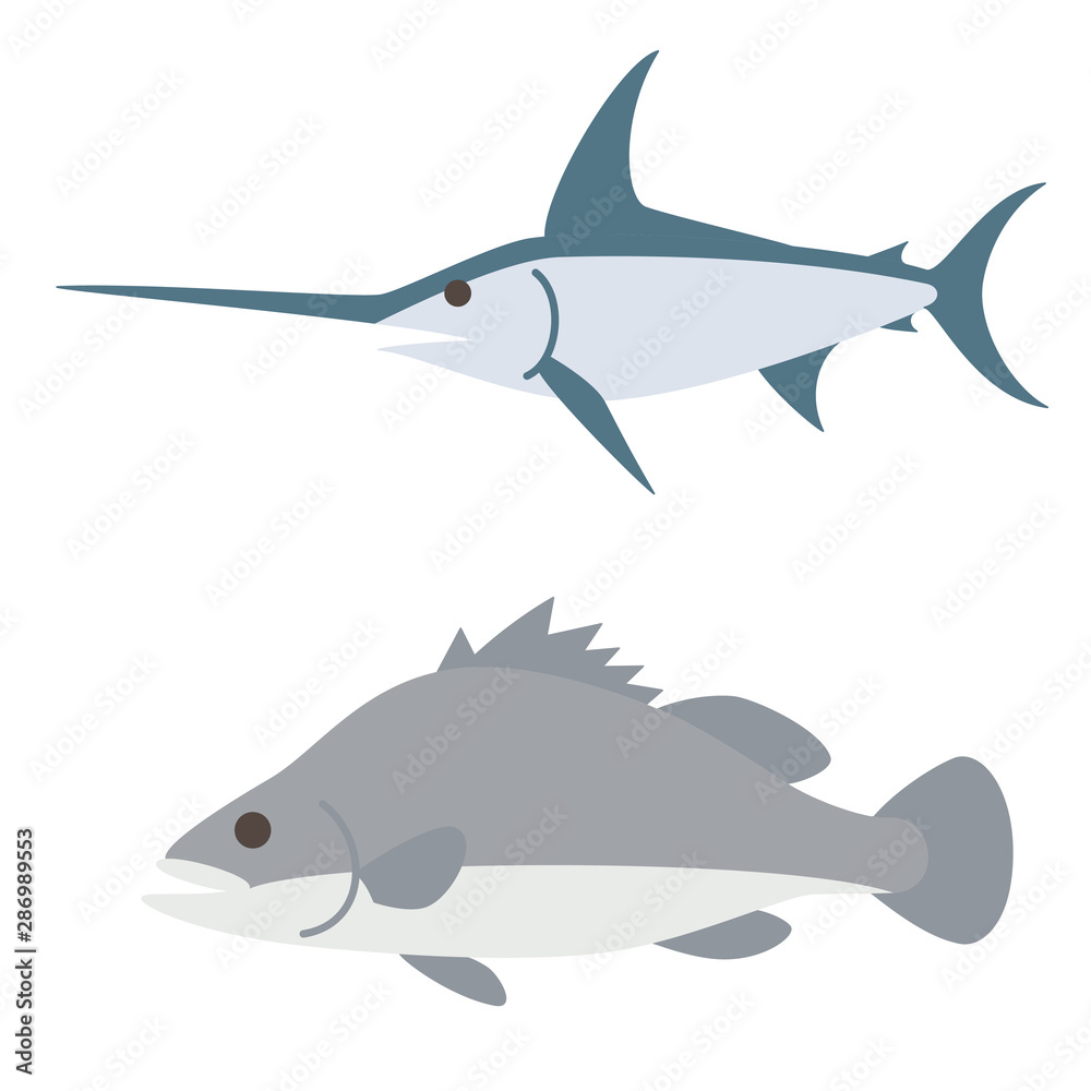 Obraz premium カジキとナイルパーチ