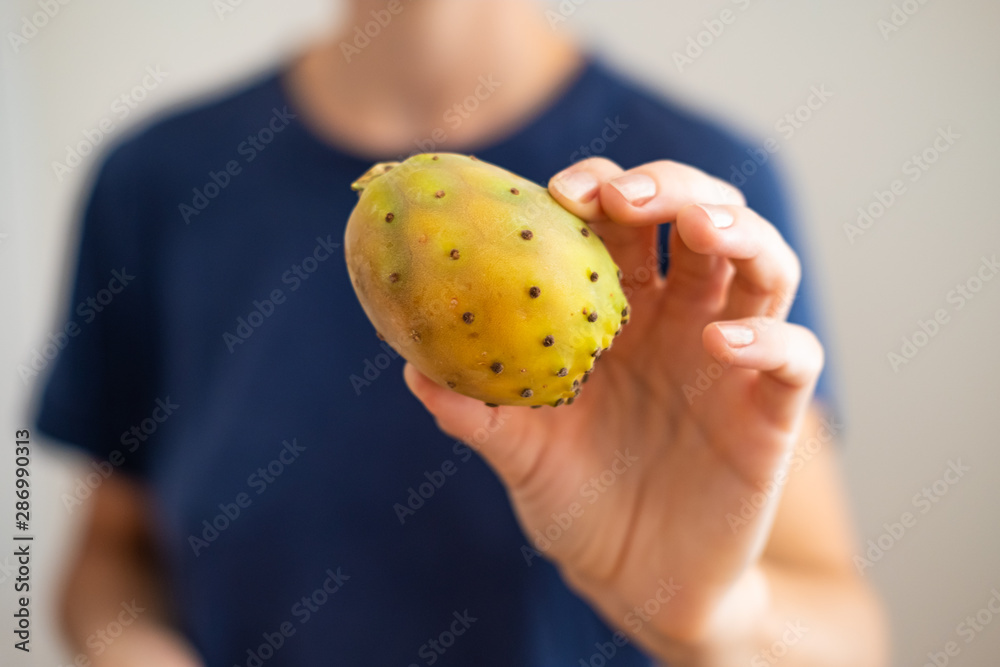 Woman holds prickly fig (Opuntia ficus-indica). Other names are Indian fig  opuntia, barbary fig, cactus pear, spineless cactus. Stock Photo | Adobe  Stock
