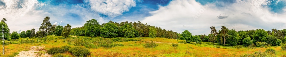 Panorama einer Landschaft mit weitem Grasland und Wäldern im Hintergrund Panorama einer Landschaft mit weitem Grasland und Wäldern im Hintergrund