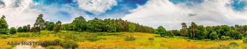 Panorama einer Landschaft mit weitem Grasland und Wäldern im Hintergrund