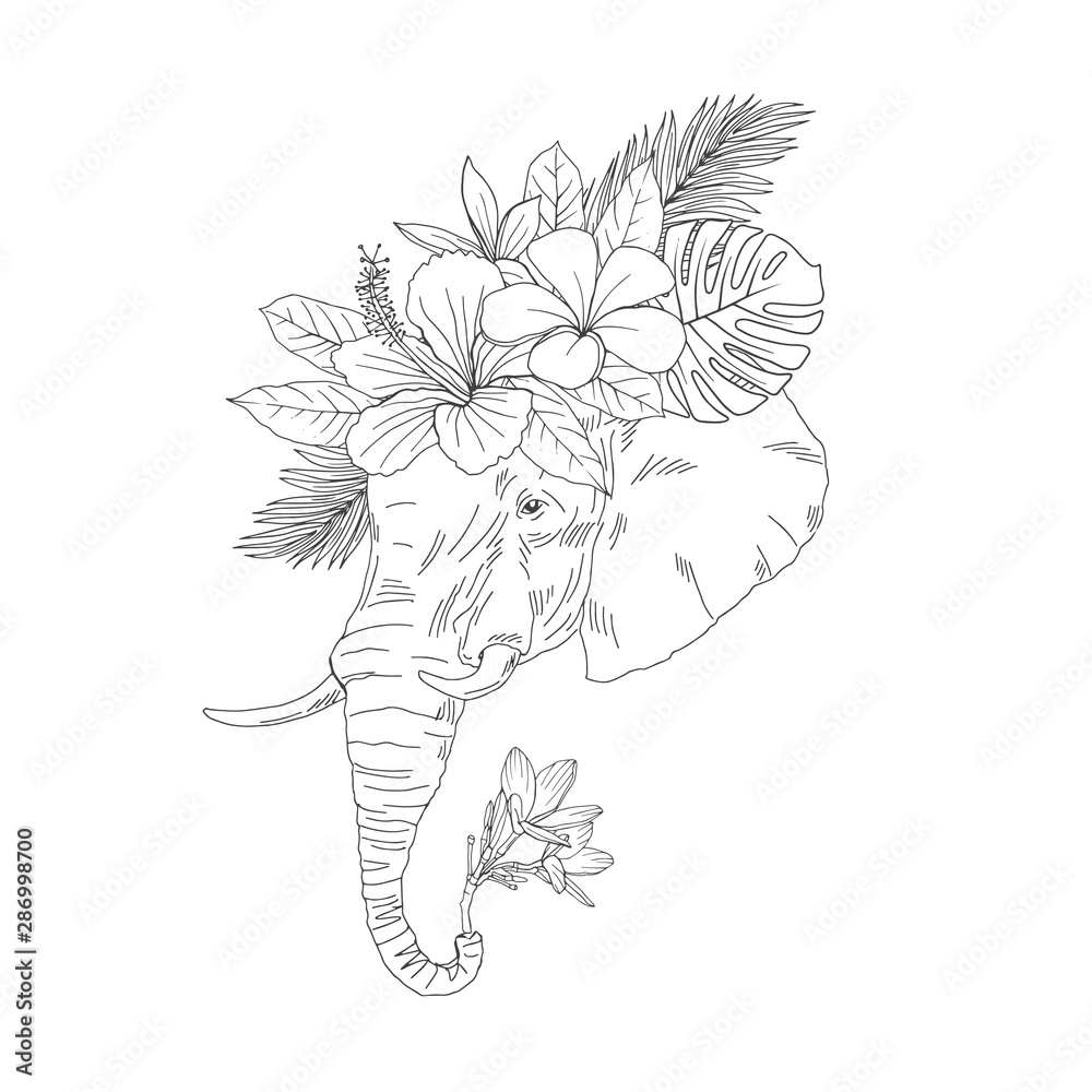 Elephant head side view hand drawn sketch. Majestic African animal with