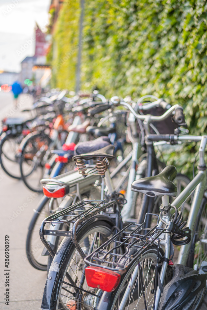 group of  bicycles parked in a wall with vegetation