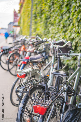 group of bicycles parked in a wall with vegetation
