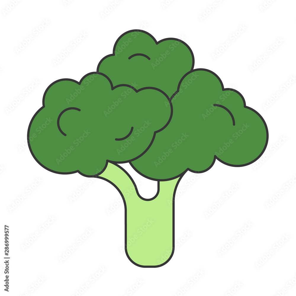 Simple vector linear illustration with healthy eating green broccoli veggie. Vegetable vegan symbol. flat design outline icon. Simple vector linear illustration with healthy eating green broccoli veggie. Vegetable vegan symbol. flat design outline icon.