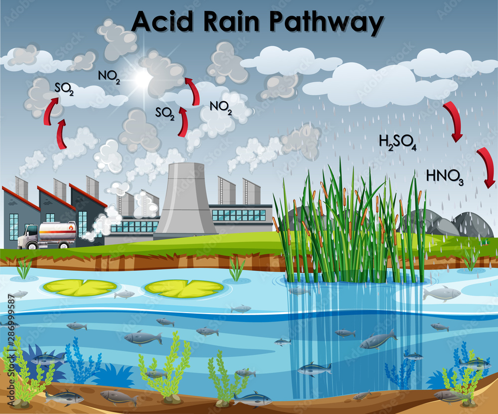Acid Rain pathway diagram with water and factory Stock Vector | Adobe Stock