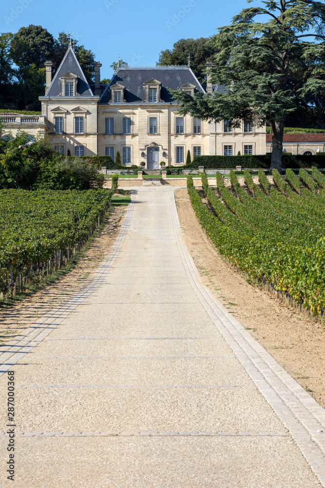 Vineyard of Chateau Fonplegade - name (literally fountain of plenty) was derived from the historic 13th century stone fountain that graces the estate's vineyard. St Emilion, France