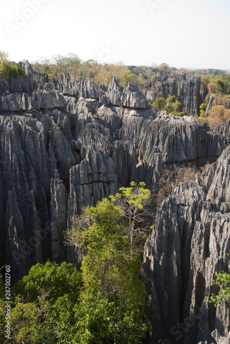 Parc national des Tsingy du massif du Bemaraha  Patrimoine mondial de l UNESCO  Madagascar