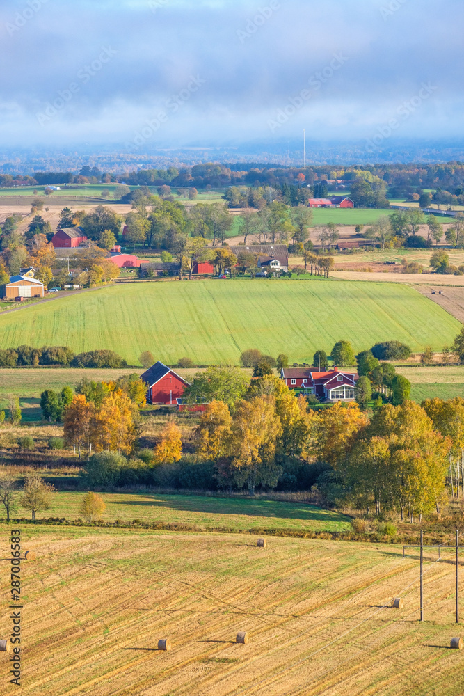 Rural landscape view with autumn colors