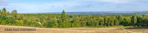 Panorama view at a woodland landscape