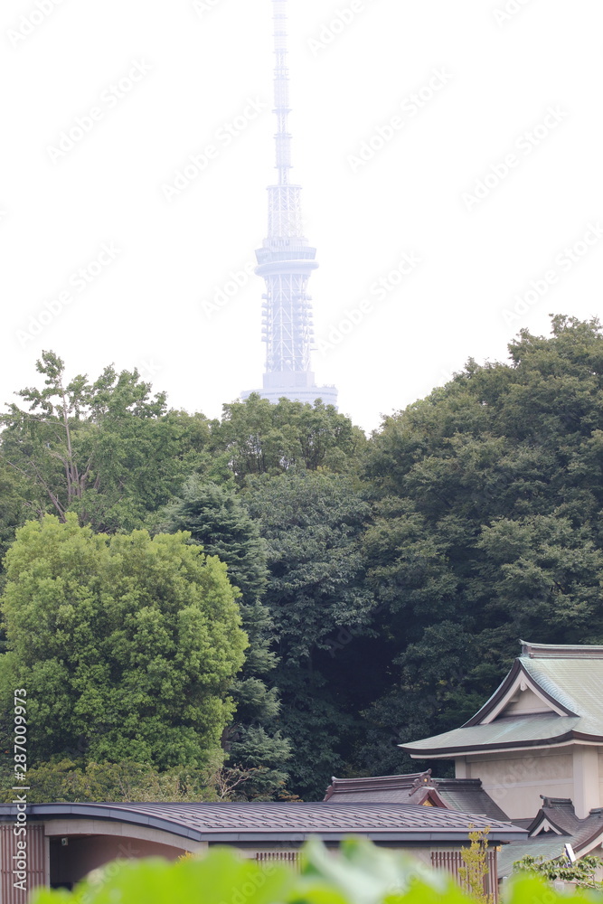 Obraz premium 不忍池から東京スカイツリー