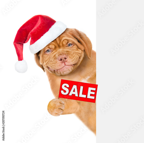 Smiling puppy  in red christmas hat with sales symbol above white banner. isolated on white background © Ermolaev Alexandr