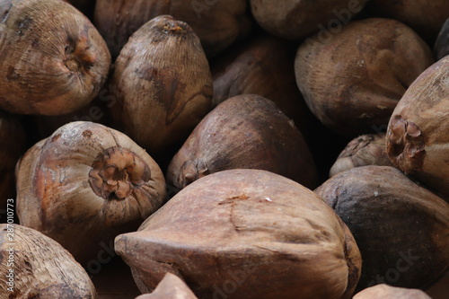 Dry coconut stored in the floor
