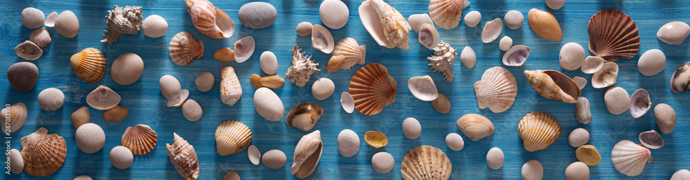 Background of sea shells and starfish