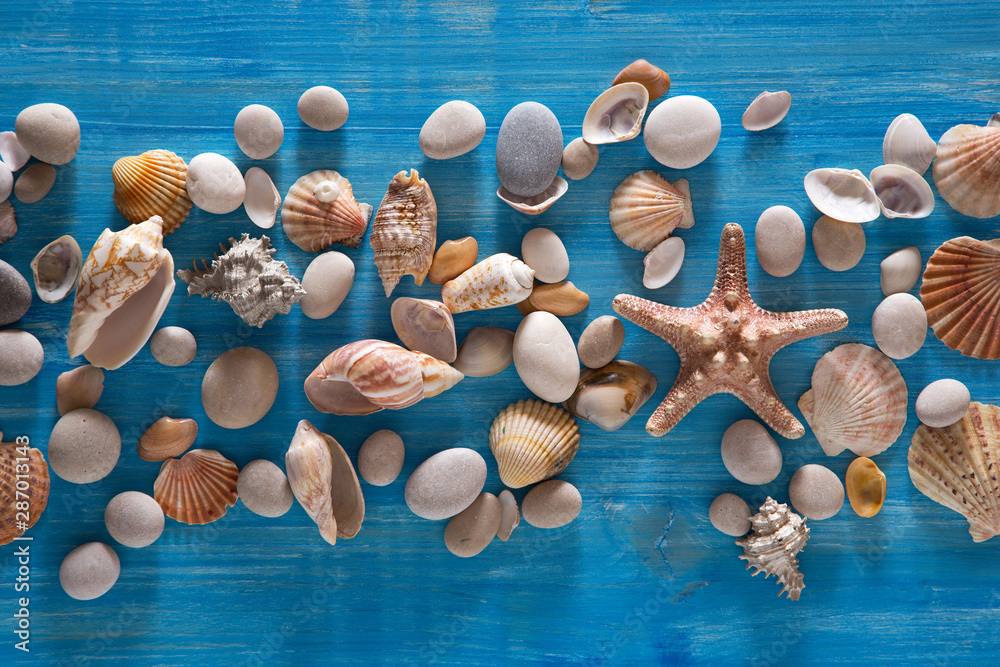 Fototapeta premium Background of sea shells and starfish