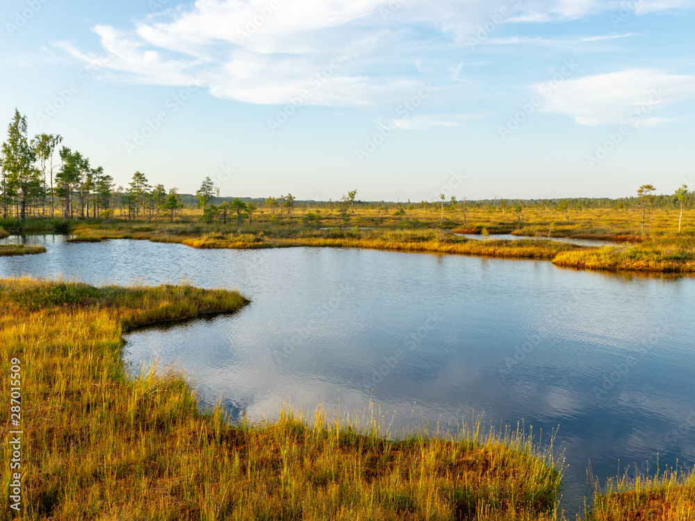 beautiful landscape with small bog lakes, wonderful reflections, white clouds, Nigula bog, Estonia