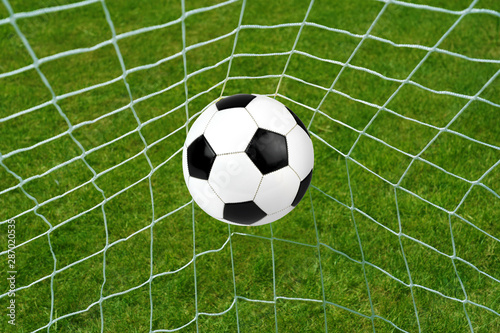 Goal. Soccer ball in net with grass background.