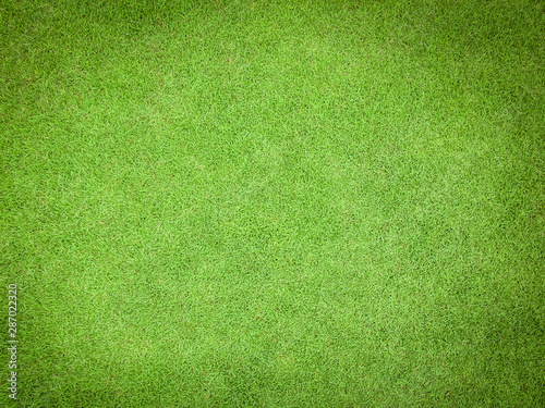 Green grass texture pattern background golf course turf lawn from top view in bright yellow green color © Chinnapong