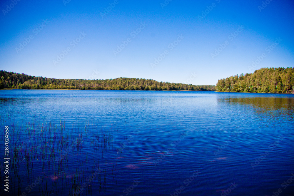 Fototapeta premium panorama of a forest lake under a blue sky