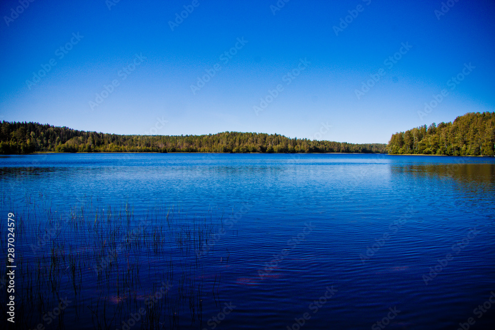 panorama of a forest lake under a blue sky