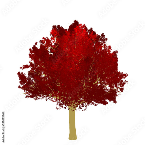 Red maple tree 2D rendering graphic picture isolated on white background. For decorating the garden and forest.