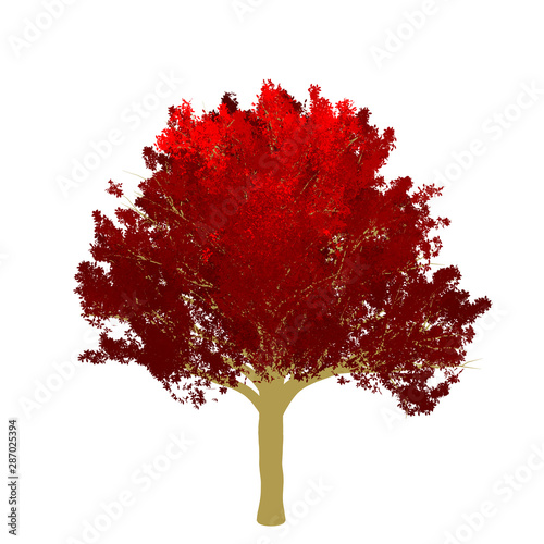 Red maple tree 2D rendering graphic picture isolated on white background. For decorating the garden and forest.