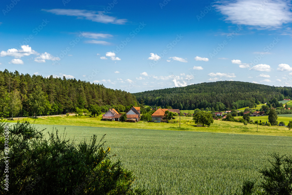 Czech countryside in a summer day